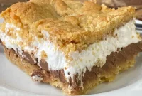 S’mores Layer Cake Recipe: Gooey Chocolate, Graham & Toasted Marshmallow