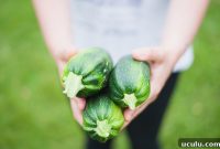 12+ Ways to Earn $1,000 Monthly from Your Garden Year-Round