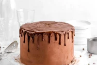 Decadent Dark Chocolate Layer Cake with Whipped Ganache