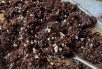 Cookies and Cream Granola Recipe for Crunchy Dessert Snacks