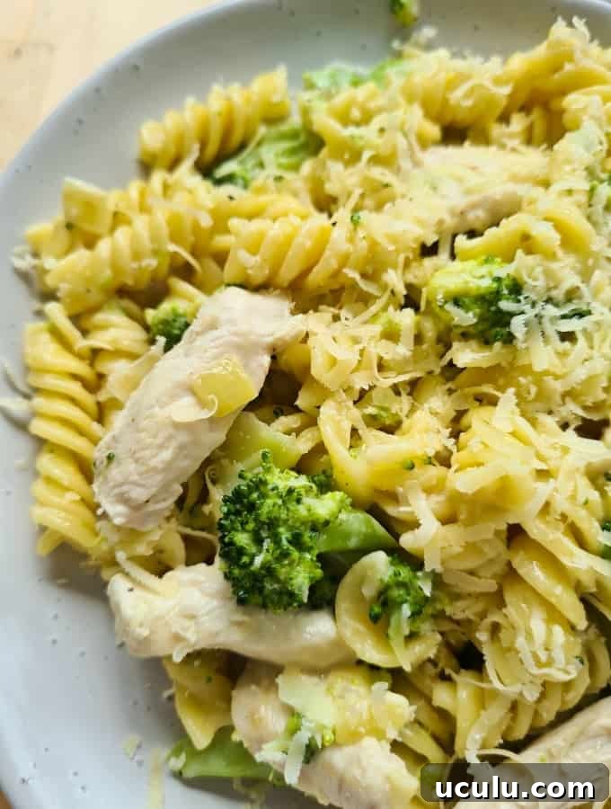 Close up image of chicken and broccoli pasta on a plate. 