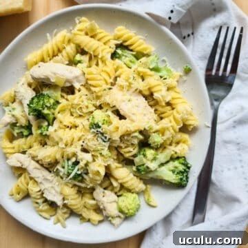A plate of chicken and broccoli pasta with grated parmesan cheese on top.