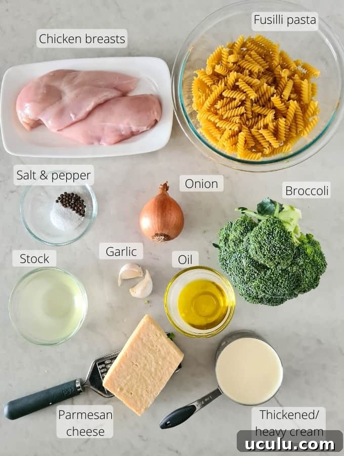 Overhead shot of all ingredients required to make this dish.