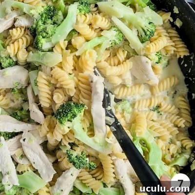 Cooked pasta being mixed through with broccoli, chicken strips and creamy sauce