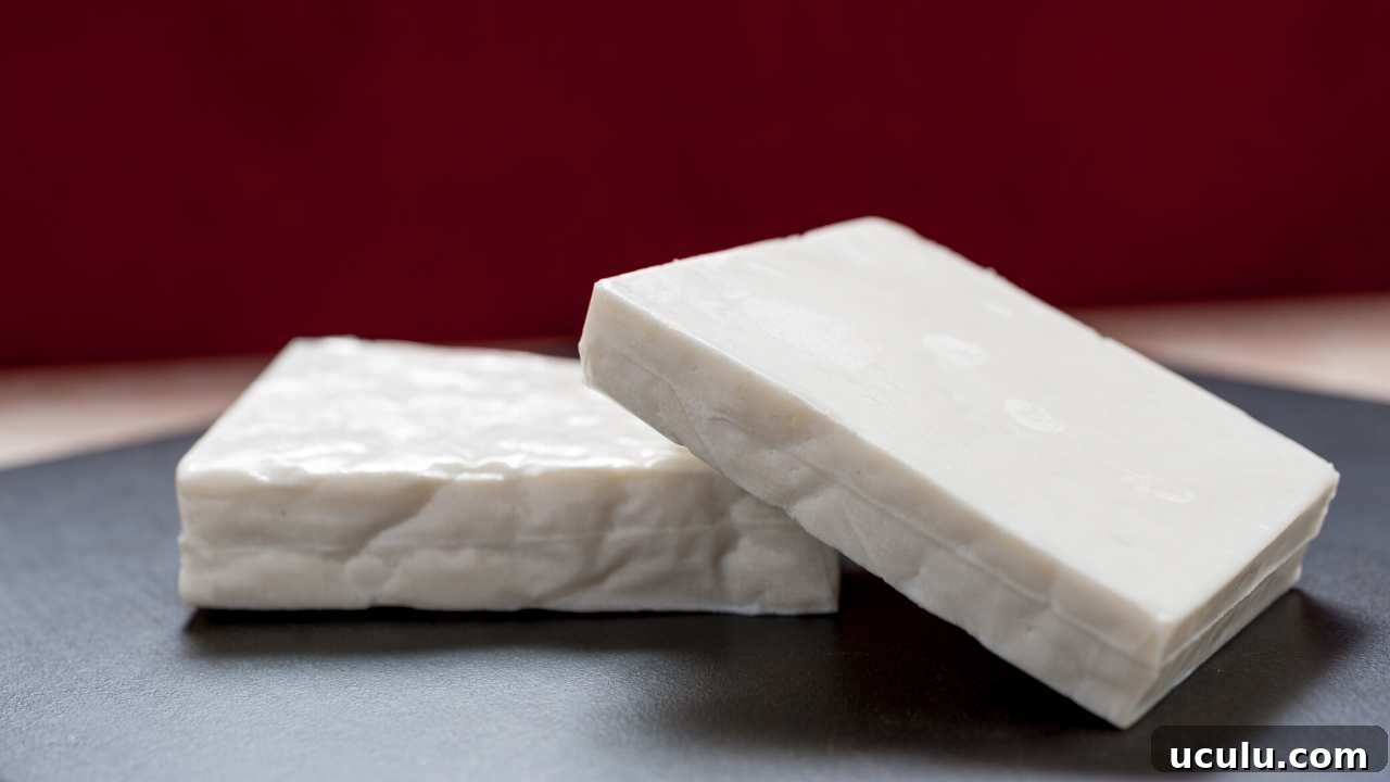 two blocks of paneer