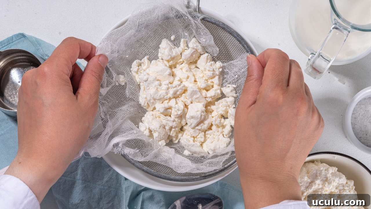freshly prepared cottage cheese placed in muslin cloth