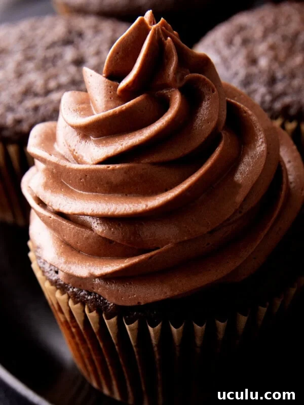 Close up of rich chocolate frosting that's homemade and made with cocoa powder piped on a cupcake.