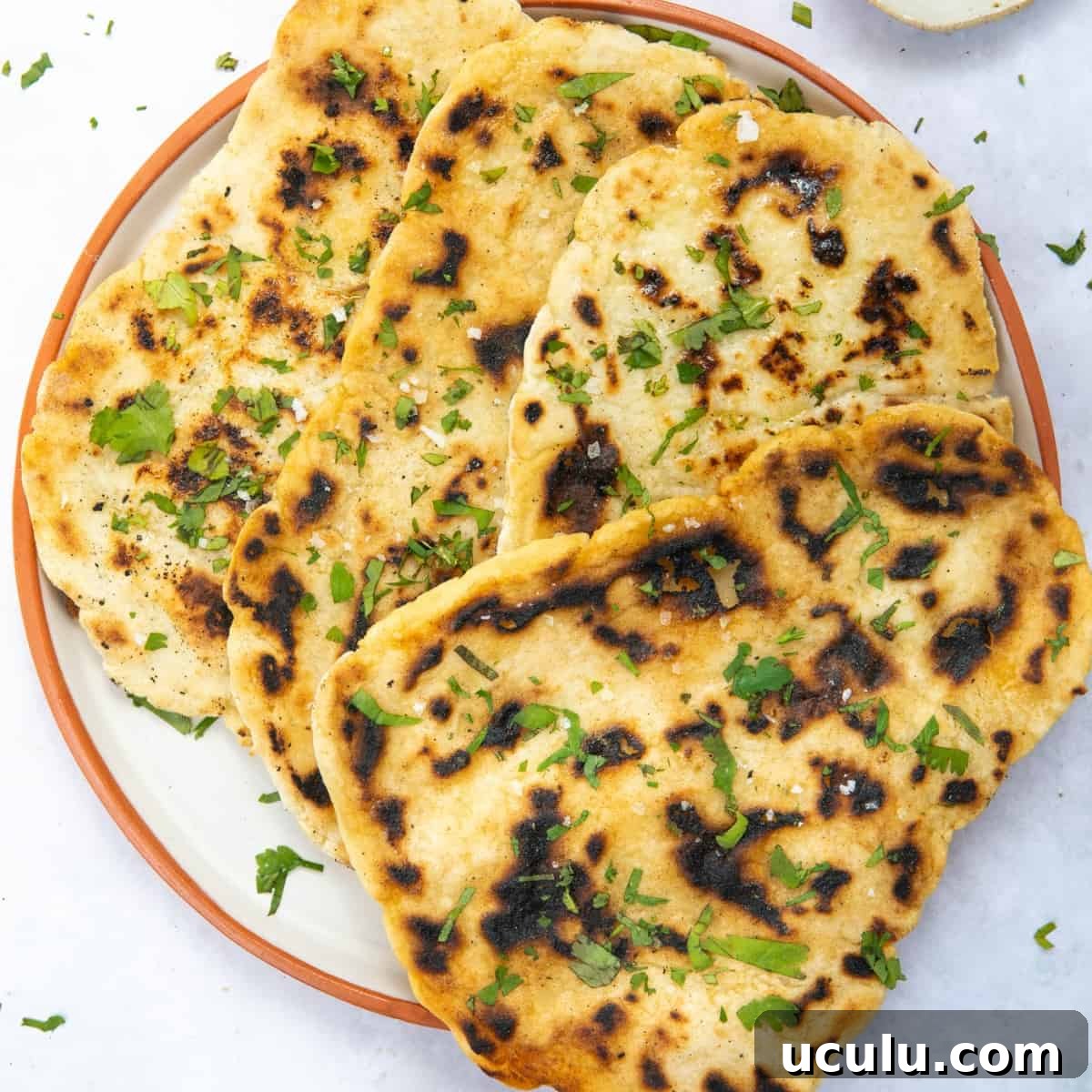 Gluten free naan bread on a plate displayed on white background.