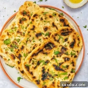 Best Gluten-Free Naan Bread