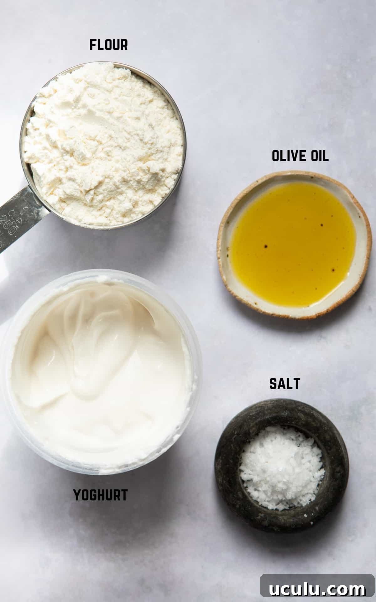 Ingredients to make gluten free naan bread displayed on white background.