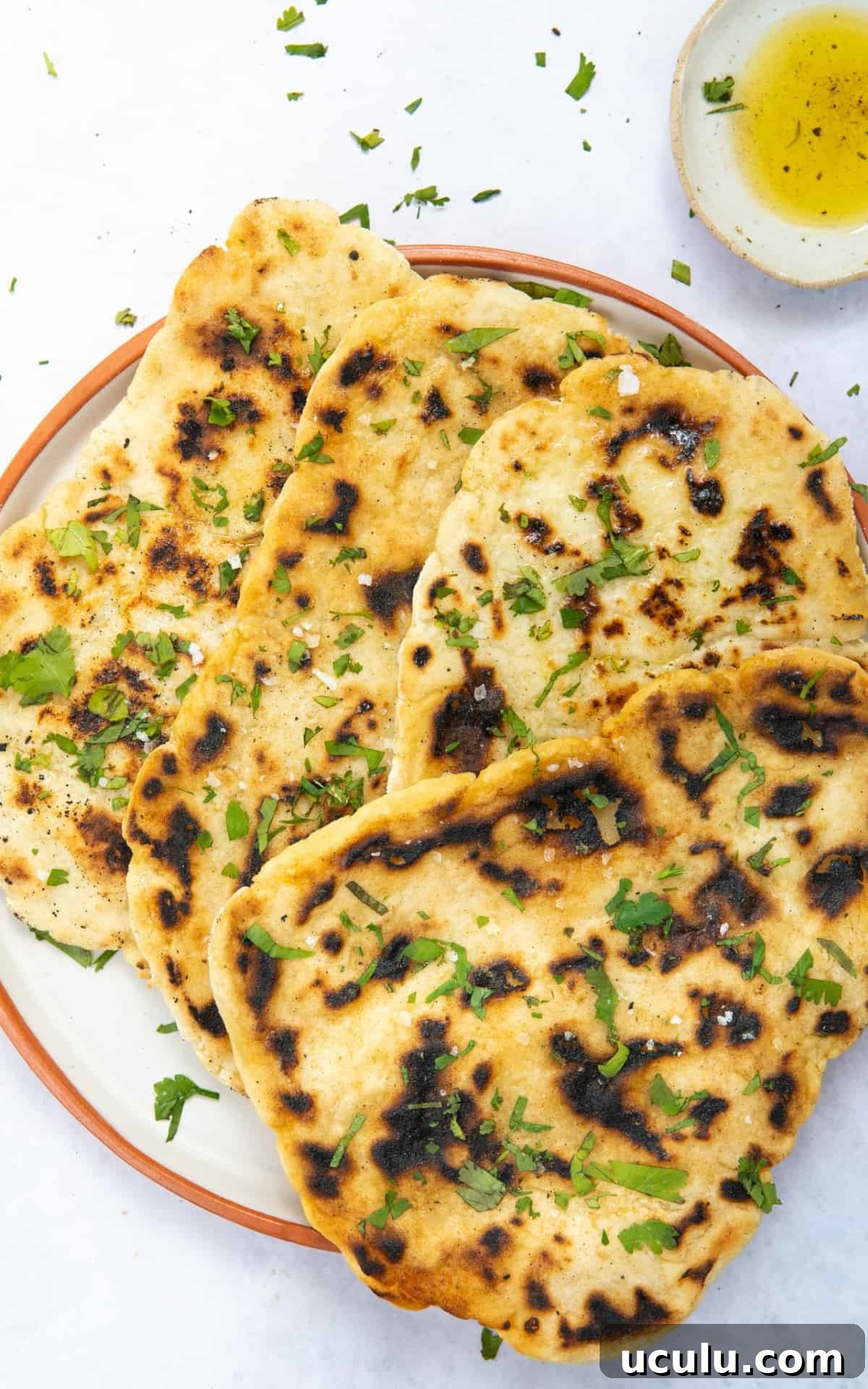 gluten free naan bread on white plate with red edging displayed on white background.