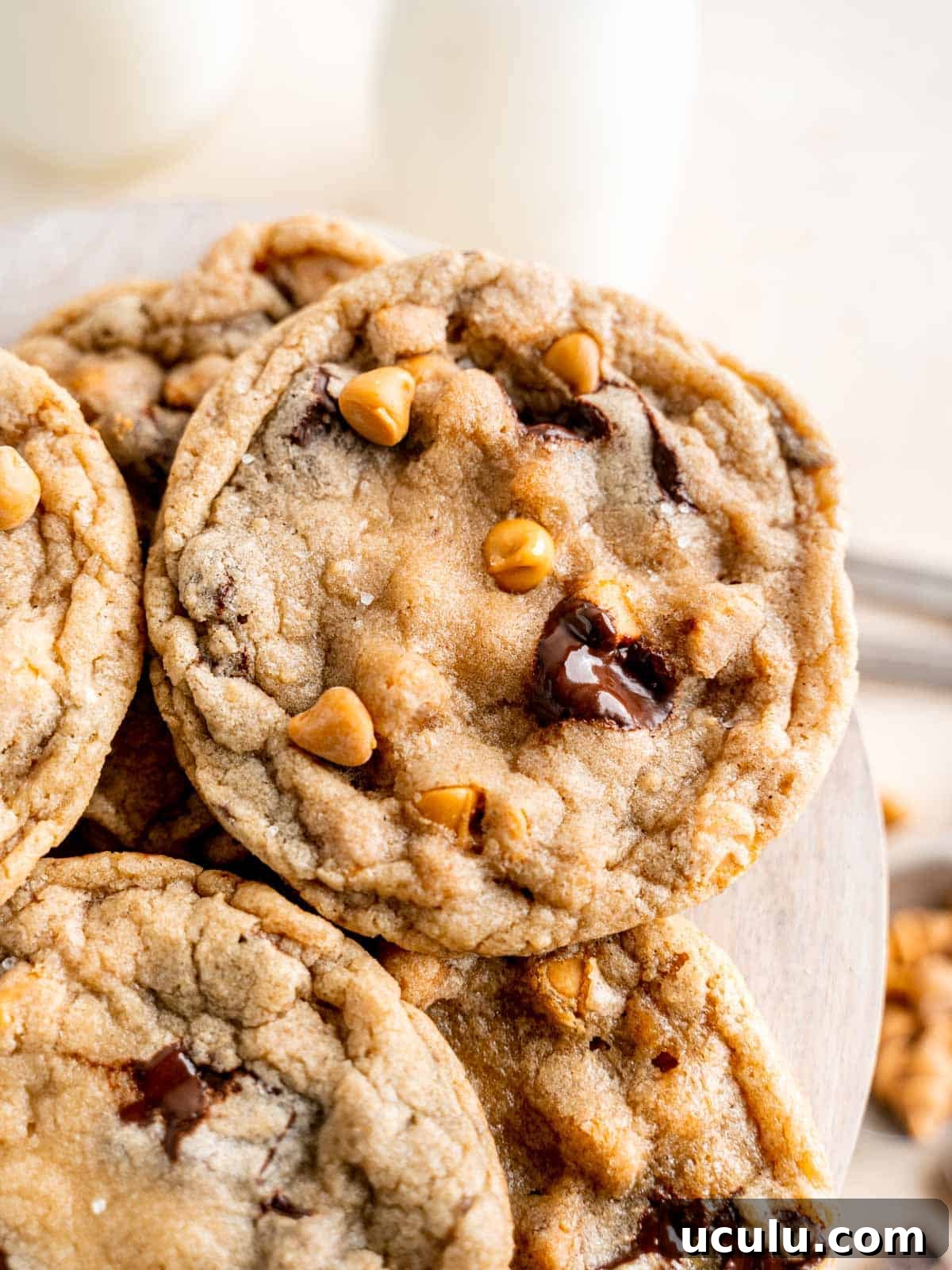 Close up of chocolate butterscotch chip cookies with flaky salt.