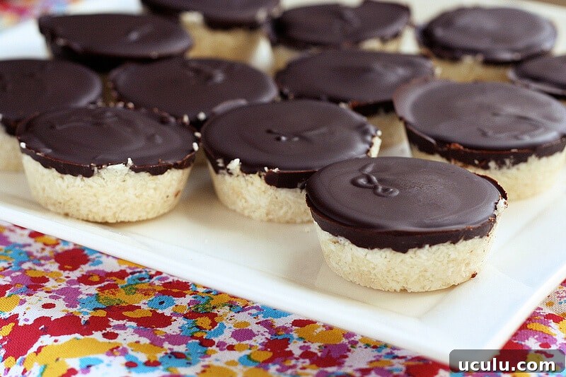 Dark Chocolate Coconut Treats