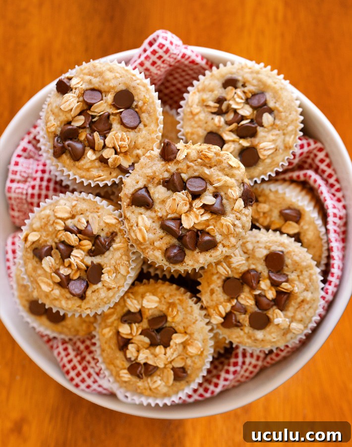 Oatmeal Muffins