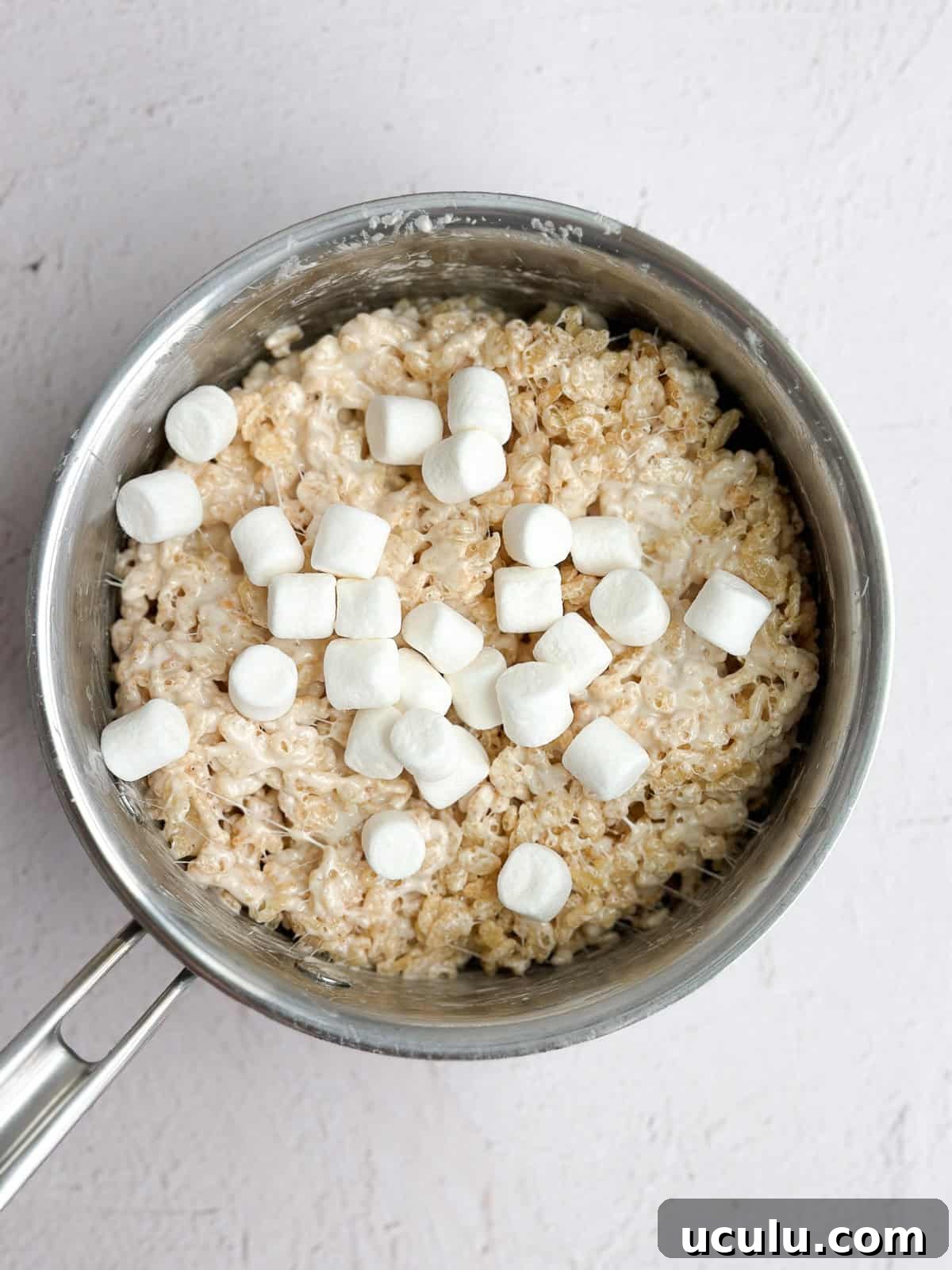 extra marshmallows added in.