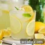an ice cold glass of homemade lemonade garnished with lemon slices and fresh mint