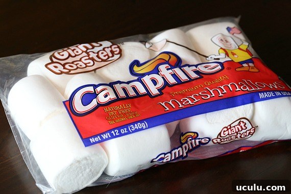 Campfire Giant Roaster Marshmallows