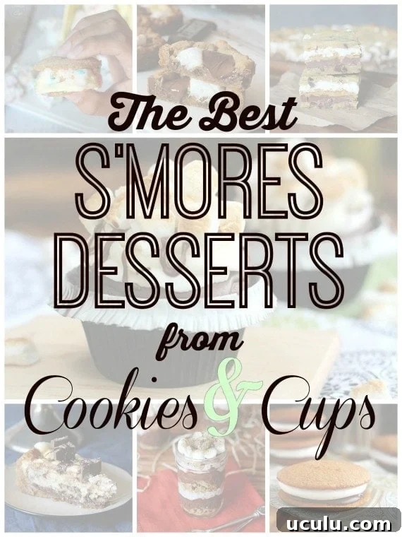 The Best S'mores Recipes on www.cookiesandcups.com