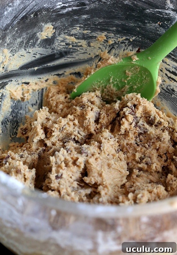 S'mores Cookie Dough!