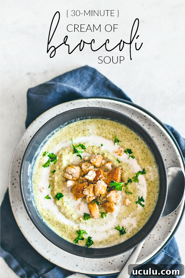 Bowl of cream of broccoli soup garnished with croutons.