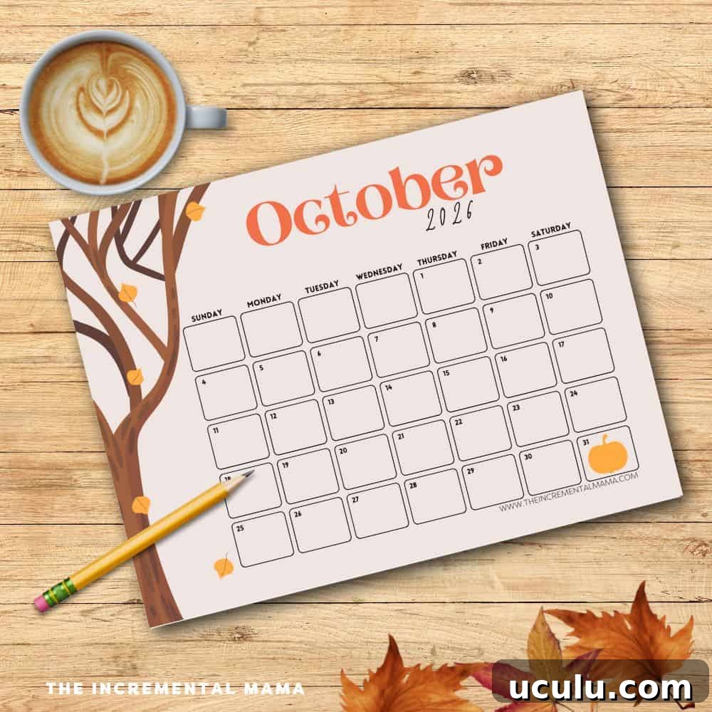 October calendar 2023 2024 2025 2026