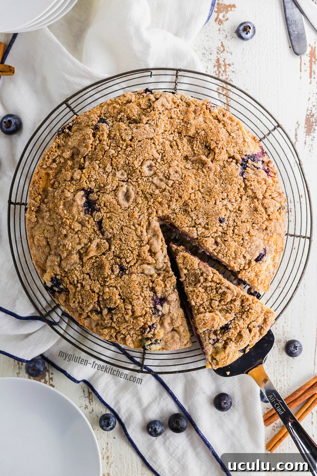 Gluten-free Blueberry Coffee Cake
