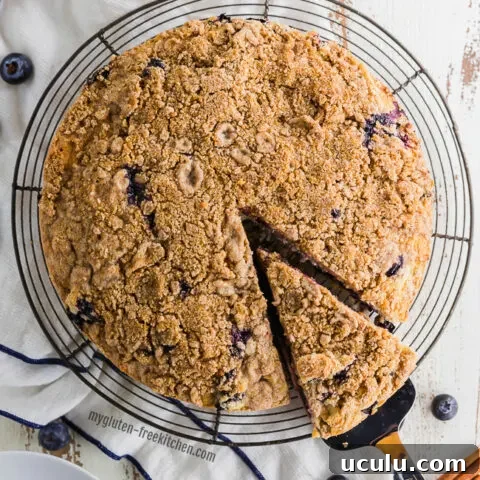Gluten-free Blueberry Coffee Cake