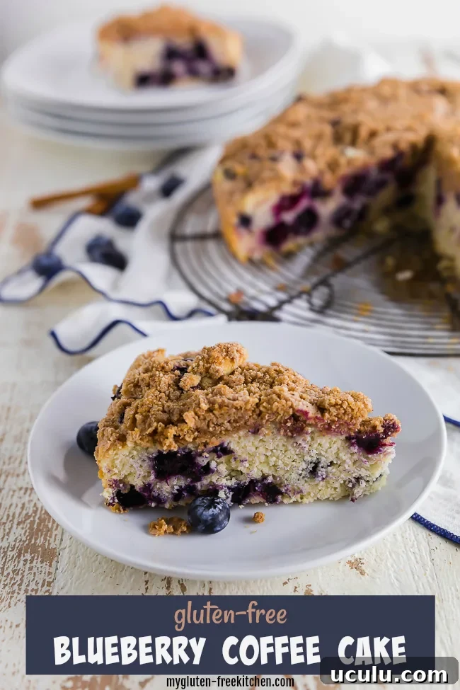 Gluten-free Blueberry Coffee Cake Slice