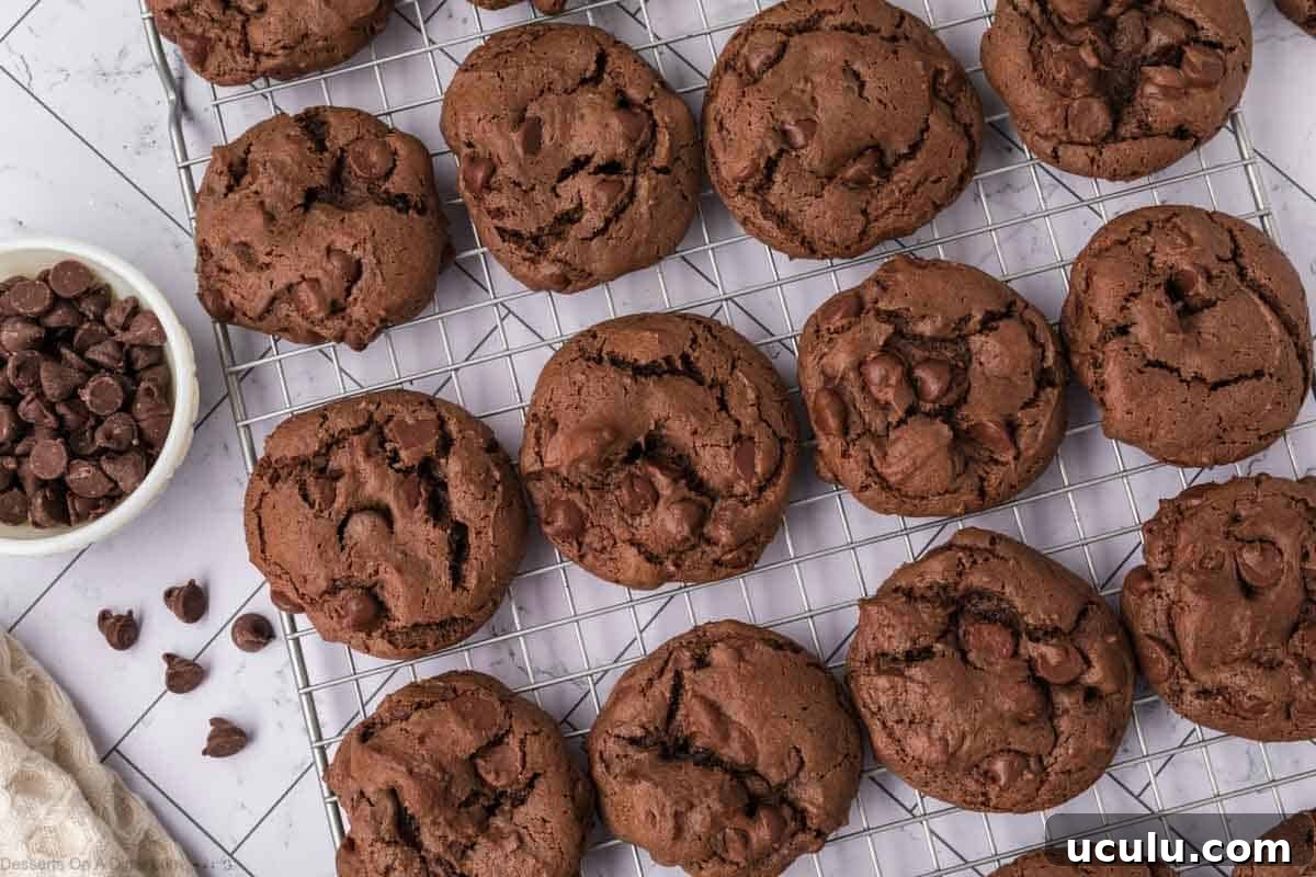 Devil's food cake mix cookies on a wire cooling rack. 