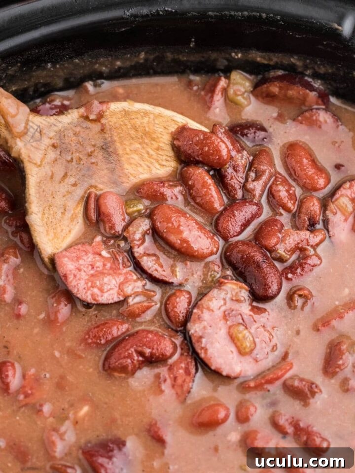 Close up of a slow cooker cajun red beans and rice recipe.