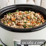 Carrots and ground meat in a crock pot, cropped square.