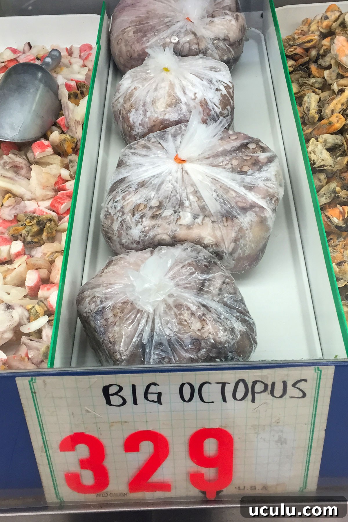 whole uncooked octopus at Asian market. 