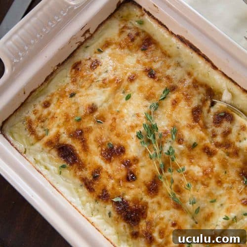 scalloped potatoes topped with fresh thyme in a cream casserole dish.
