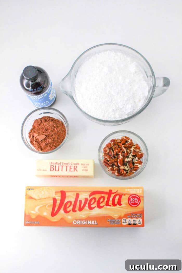Velveeta Fudge with Cocoa Powder
