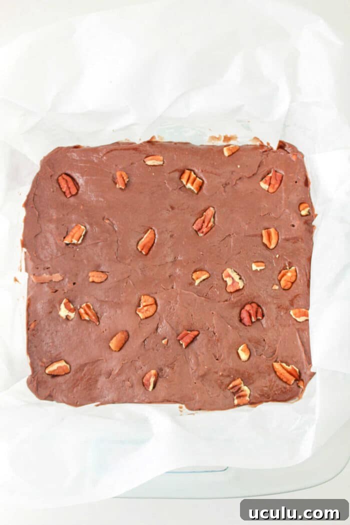 Velveeta Fudge TikTok