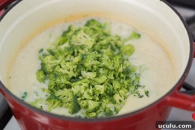 Homemade Broccoli Cheddar Soup with Broccoli Florets Added On Top in Pot