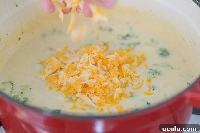 Sprinkling Grated Cheddar Cheese On Top of Broccoli and Cheddar Soup Recipe in Red Pot