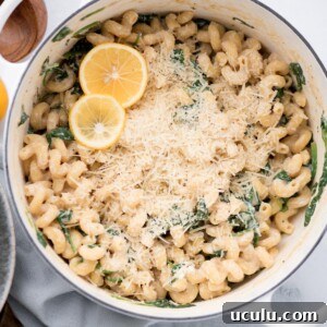 Lemon rounds placed over parmesan topped lemon ricotta pasta in a dutch oven.