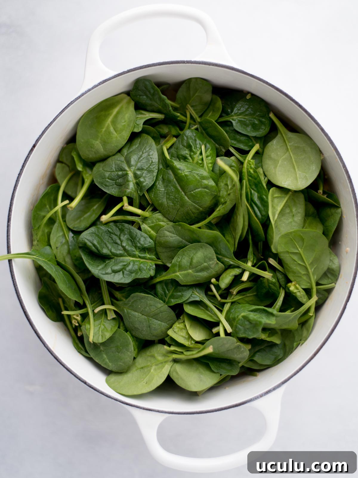 Dutch oven filled with fresh spinach leaves.