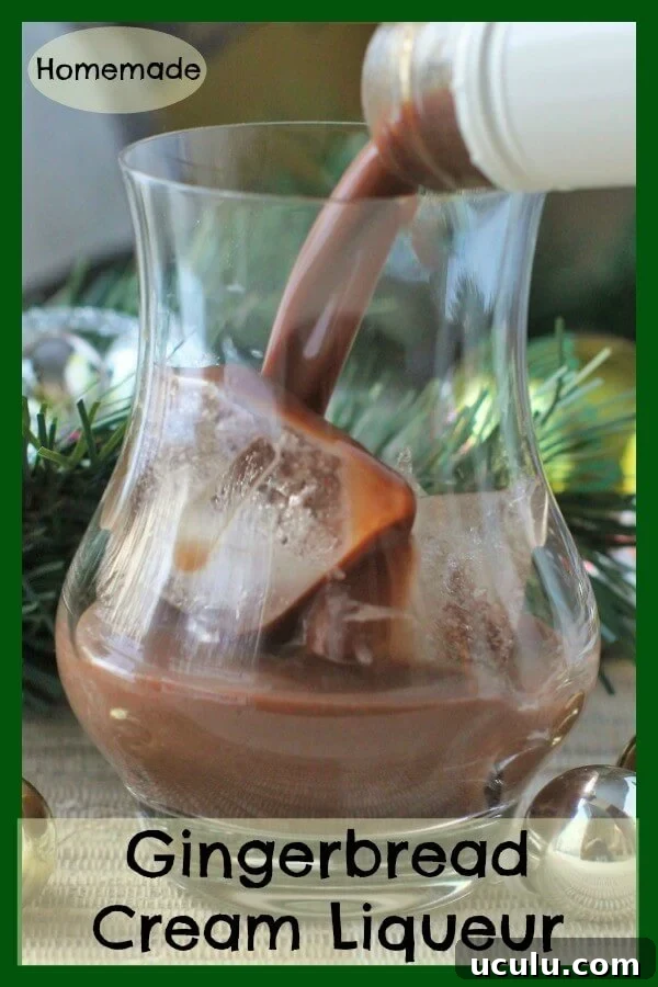 Gingerbread Cream Liqueur - it's a holiday cookie in a glass for grown-ups. Whip up a batch to add some holiday cheer to your festivities, or just to enjoy whenever there's a nip of winter in the air. Rich and creamy, but totally dairy free to boot.