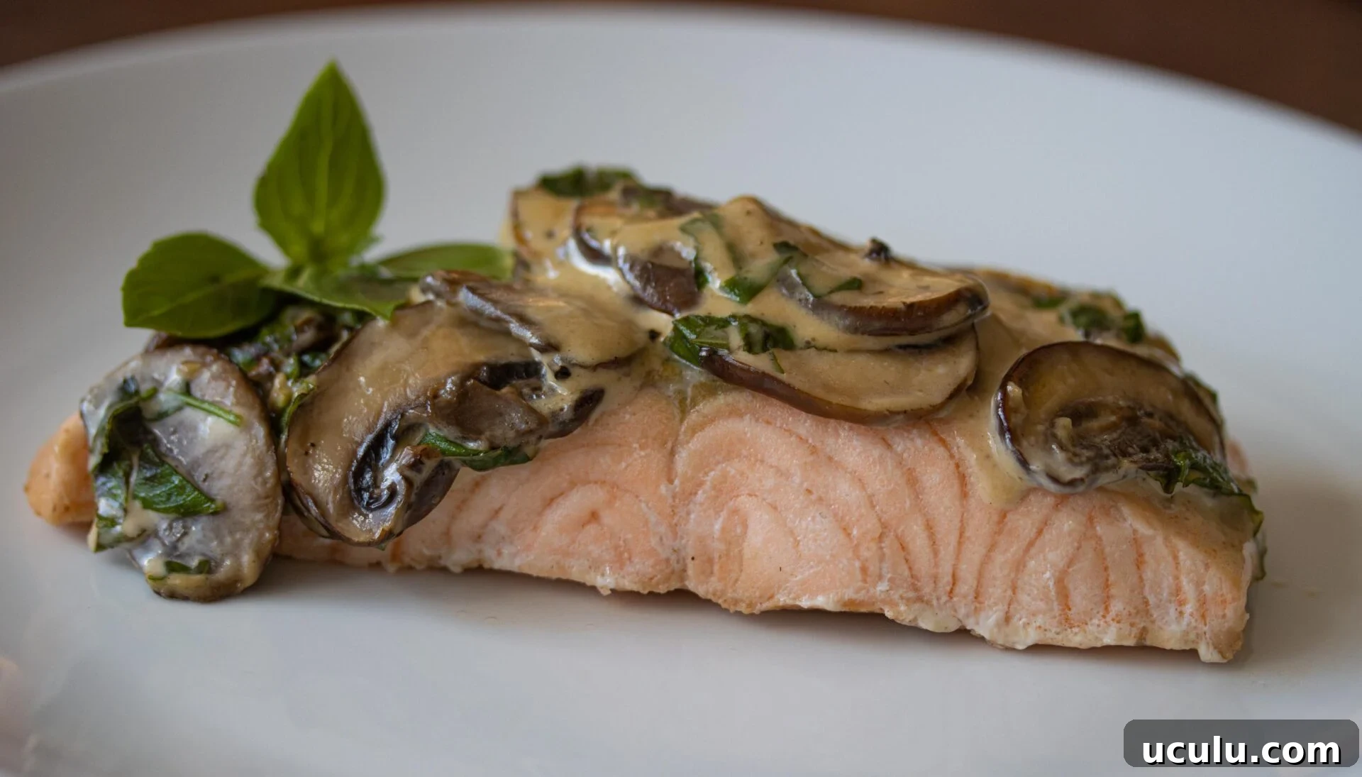salmon with basil mushroom sauce