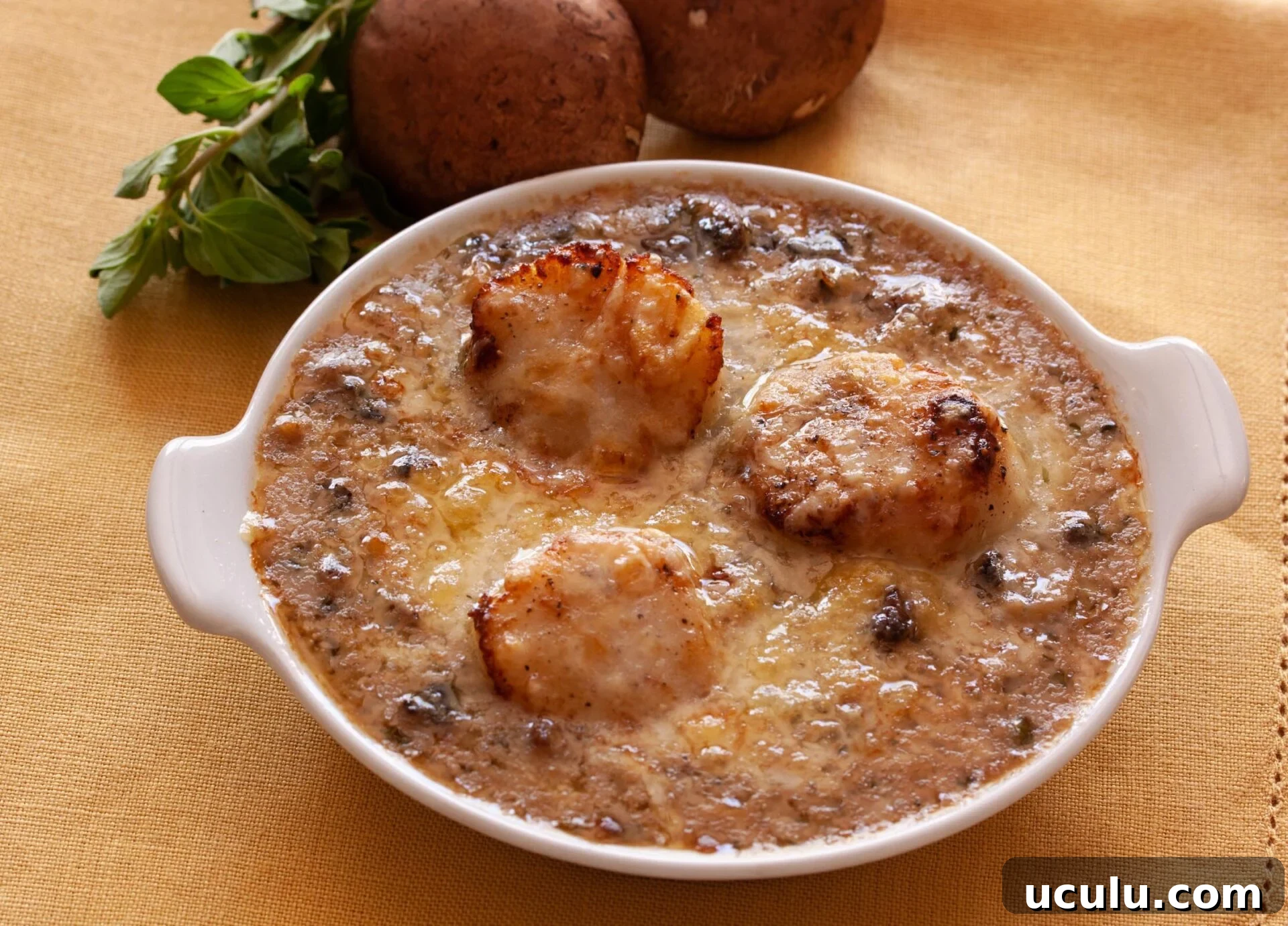 Coquilles St Jacques