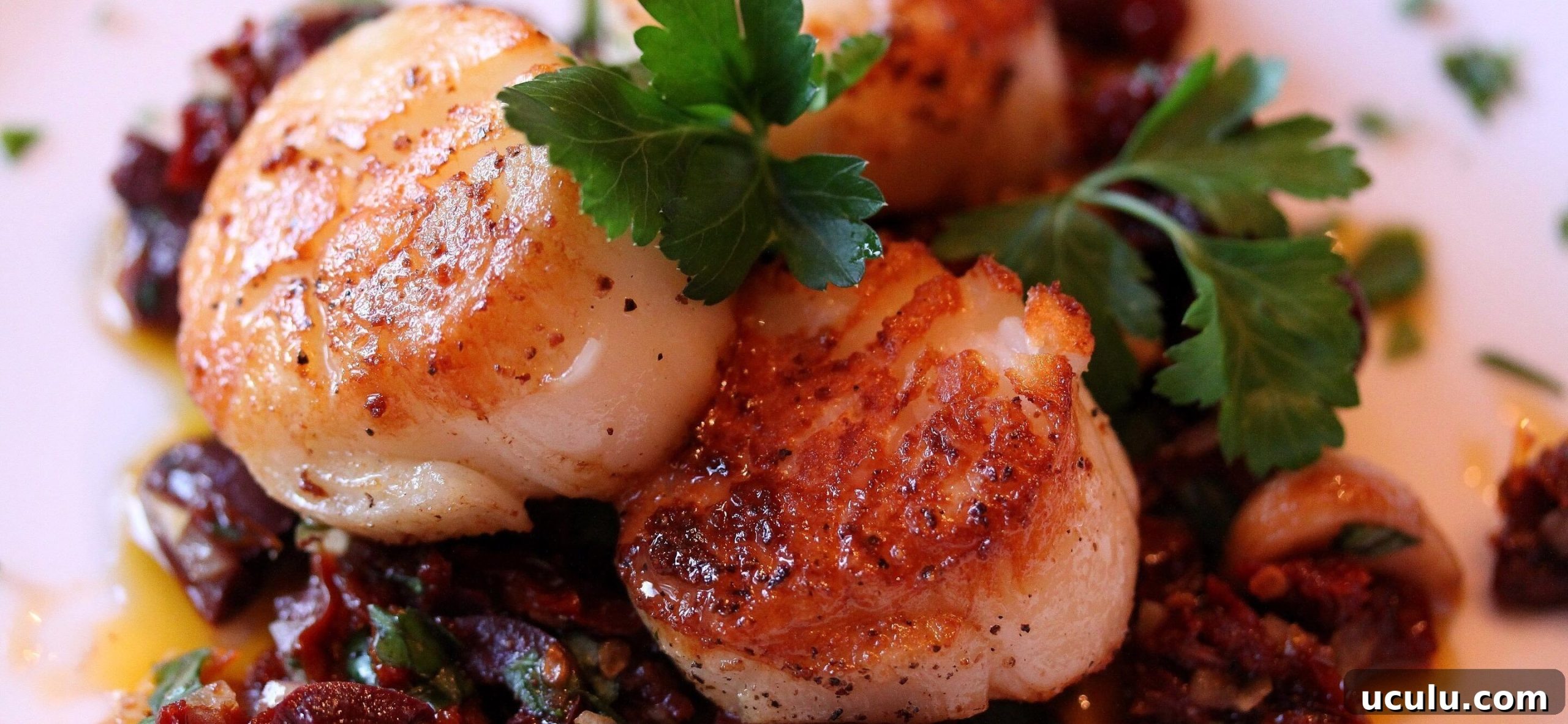 seared sea scallops with garlic