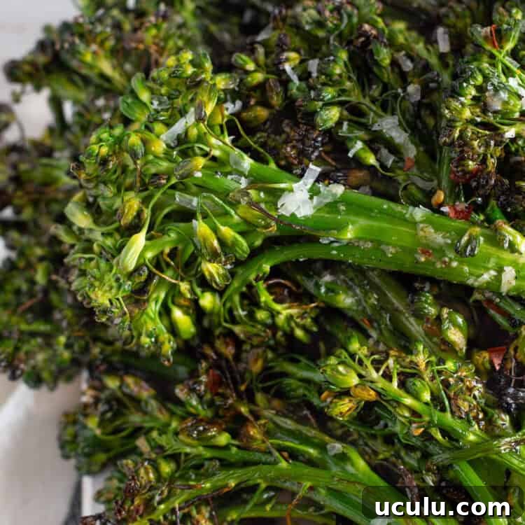 Close-up image of grilled broccolini with parmesan and red chili pepper flakes.