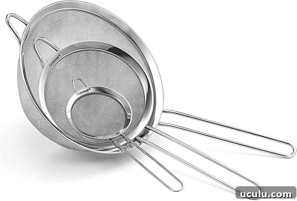 Fine-Mesh Sieve
