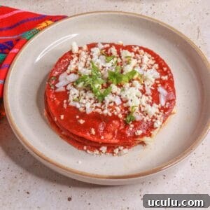 Stacked Enchiladas with Guajillo Chile Sauce