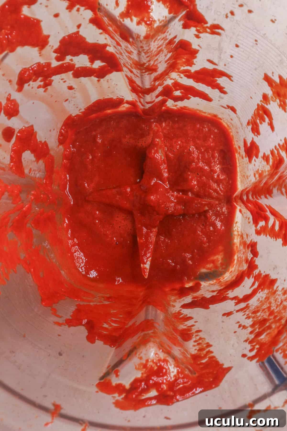 Blend rehydrated chiles with spices and onion to make red enchilada sauce