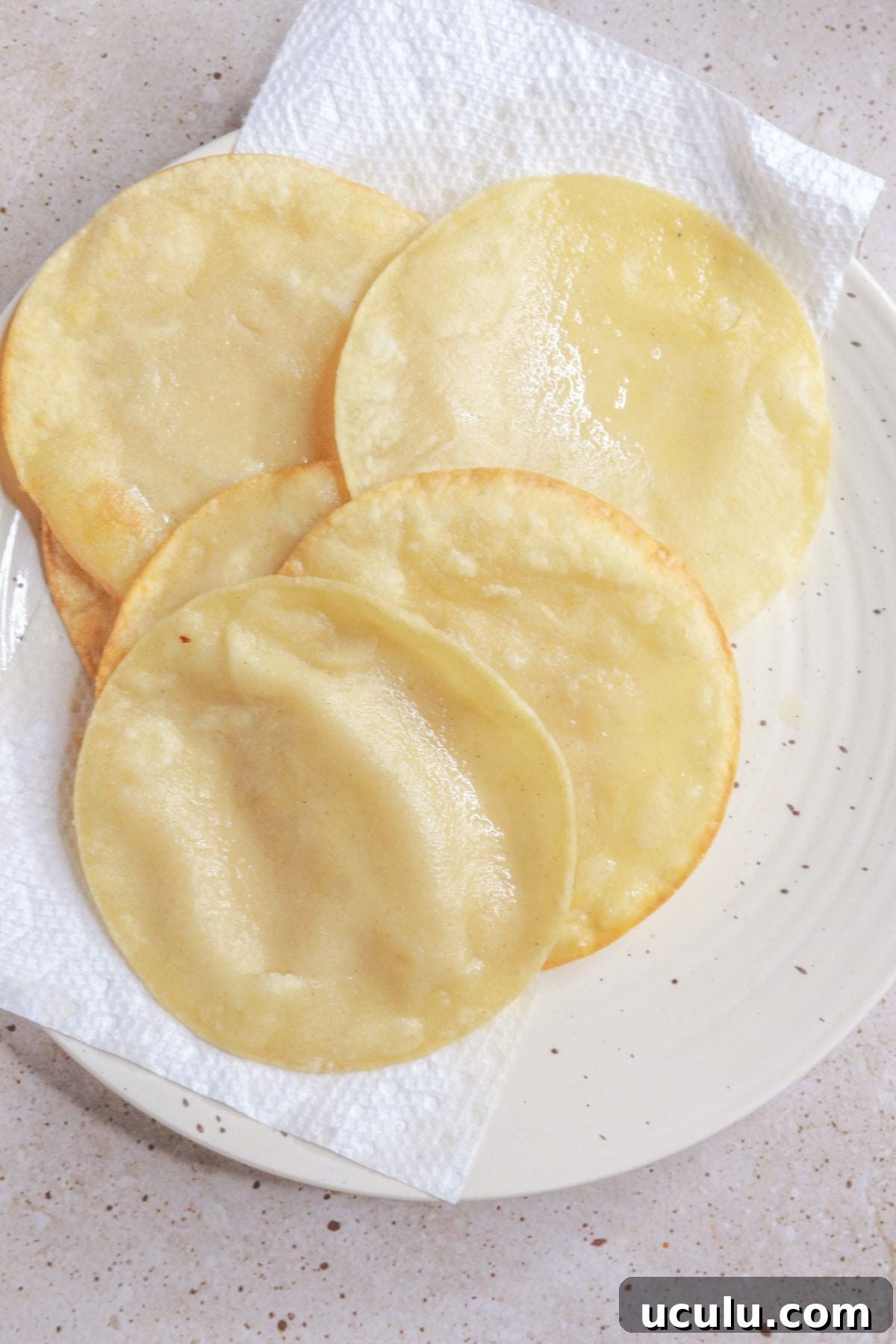 Drain fried tortillas on a paper towel-lined plate