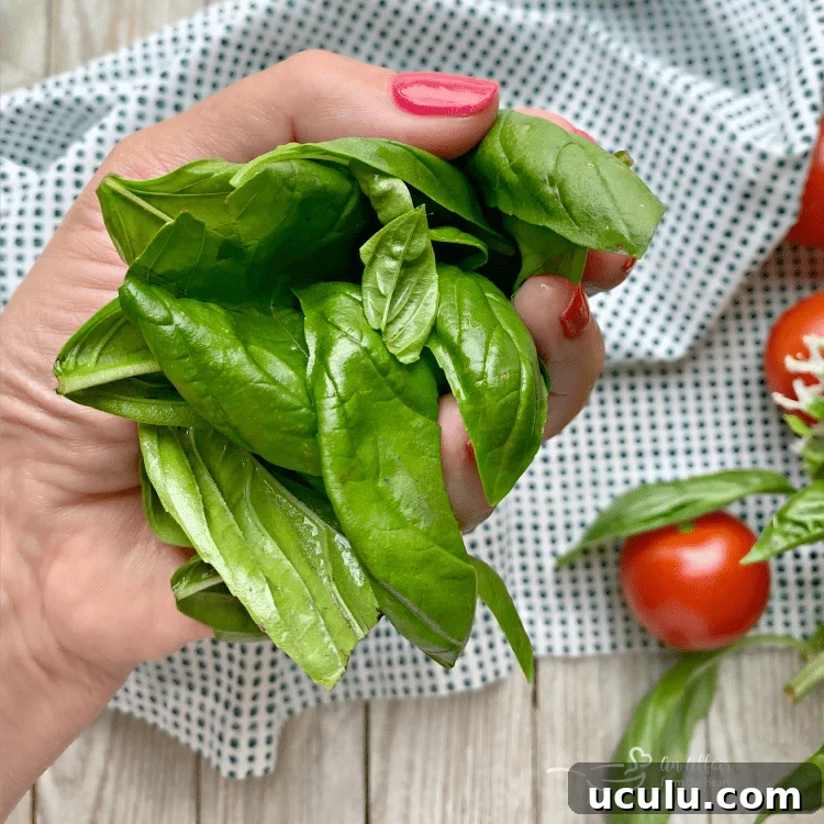 fresh ingredients in Homemade Marinara Sauce