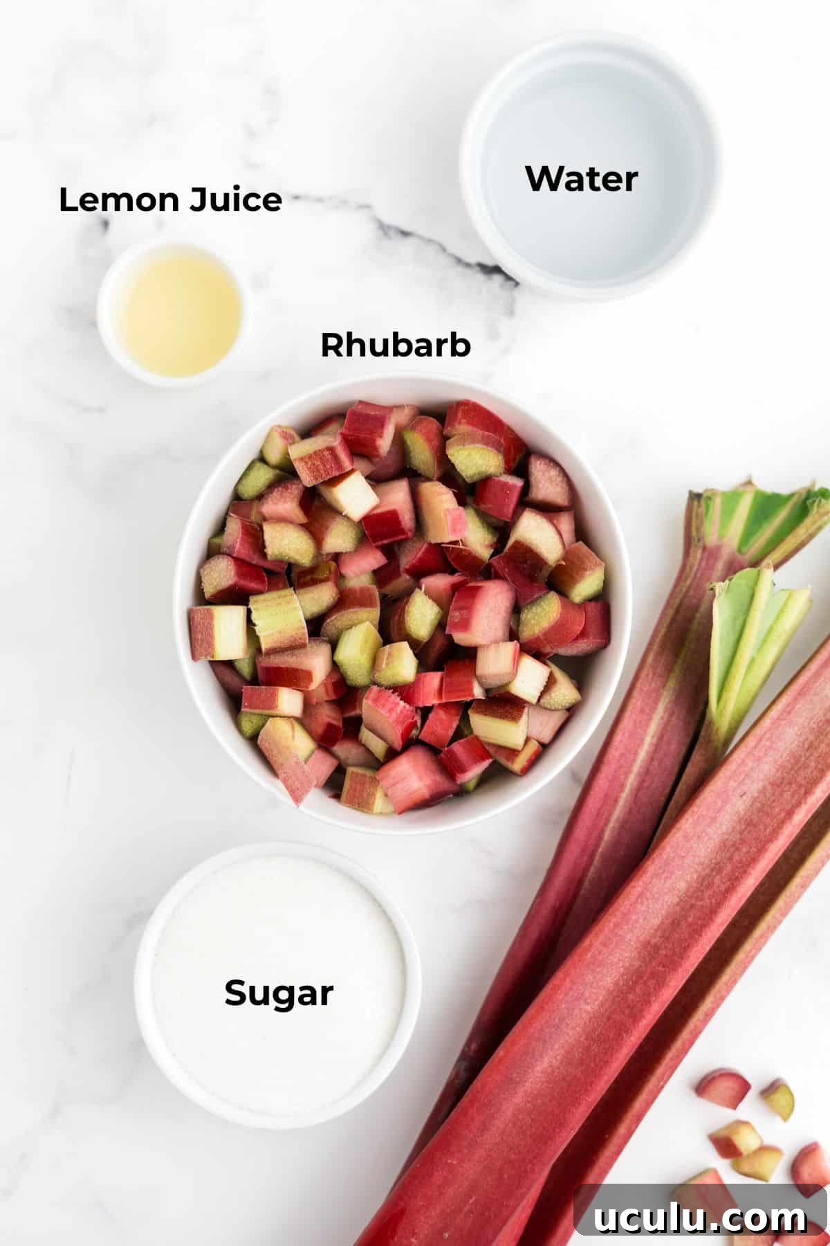 Ingredients Image for Rhubarb Simple Syrup